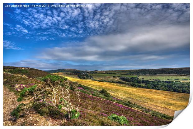 Headon Warren IOW Print by Wight Landscapes