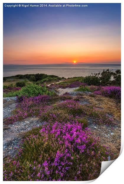 Purple Heather Sunset Print by Wight Landscapes