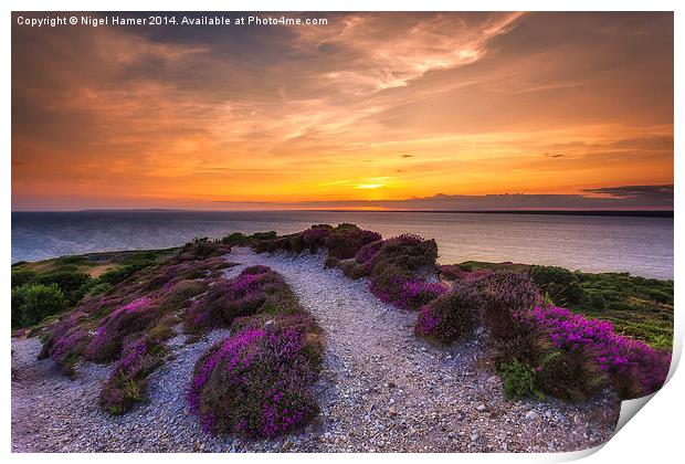  Sunset Path Print by Wight Landscapes