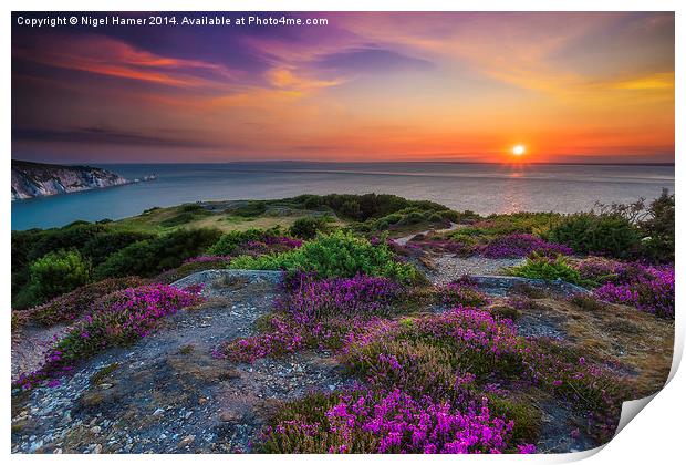 Heather Sunset Print by Wight Landscapes