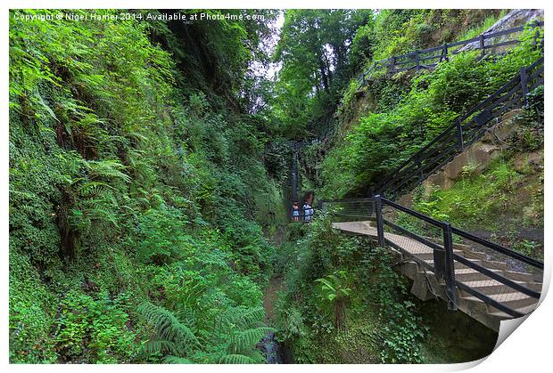 Shanklin Chine Print by Wight Landscapes