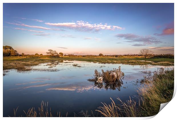 St Helens Duver Print by Wight Landscapes