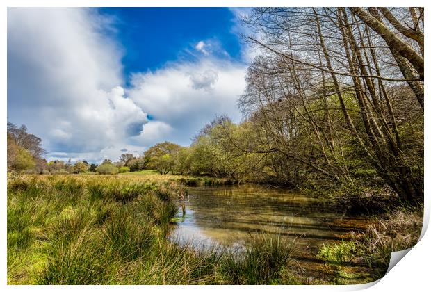 Water Meadow Print by Wight Landscapes