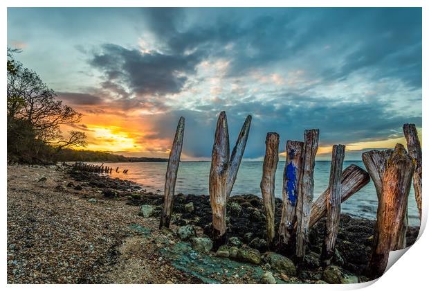 Woodside Bay Isle Of Wight Sunset Print by Wight Landscapes