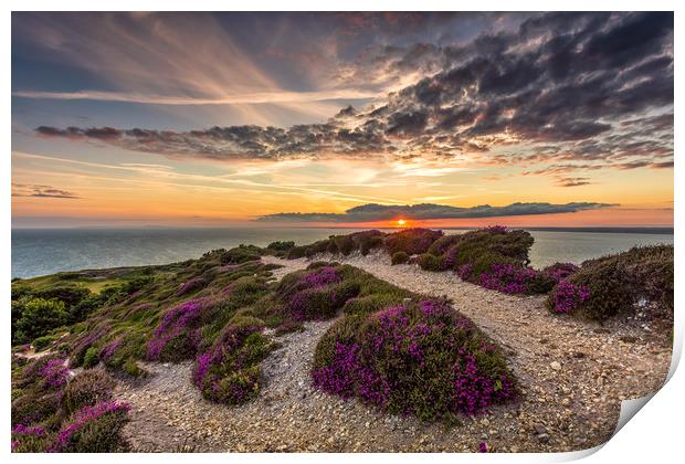 Headon Hill Sunset Print by Wight Landscapes