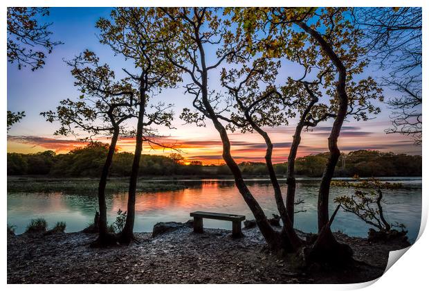 Firestone Copse Sunset Print by Wight Landscapes