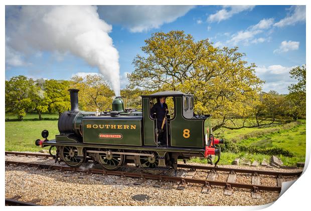 A1X TERRIER CLASS 0-6-0T NO.W8 FRESHWATER Print by Wight Landscapes