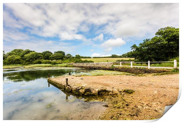 The Causeway Newtown Isle Of Wight Print by Wight Landscapes