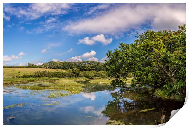 Causeway Lake Newtown Isle Of Wight Print by Wight Landscapes