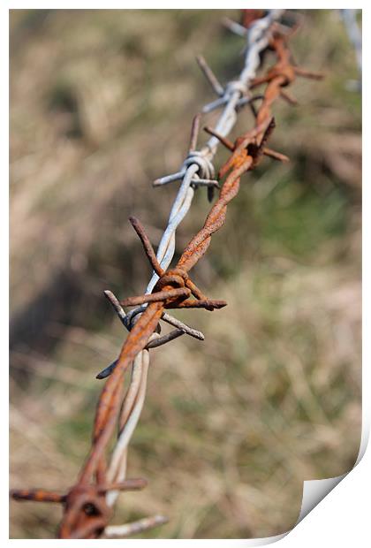 STRING OF BARBED WIRE Print by HELEN PARKER