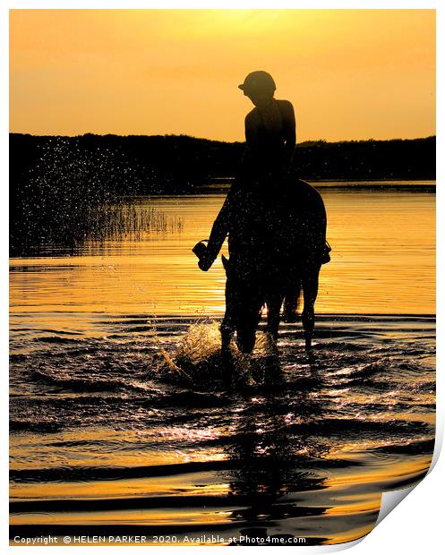 Horse and rider silhouettes at sunset Print by HELEN PARKER