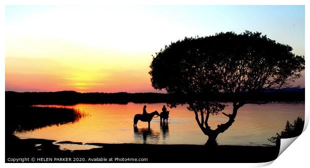 Sunset at Kenfig Pool with visiting horses Print by HELEN PARKER
