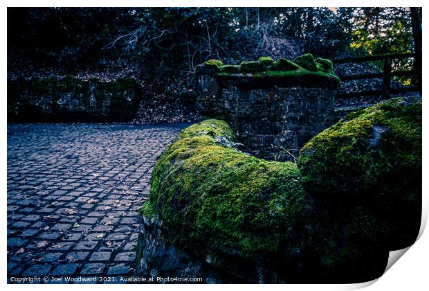 Moss Covered Walls Print by Joel Woodward