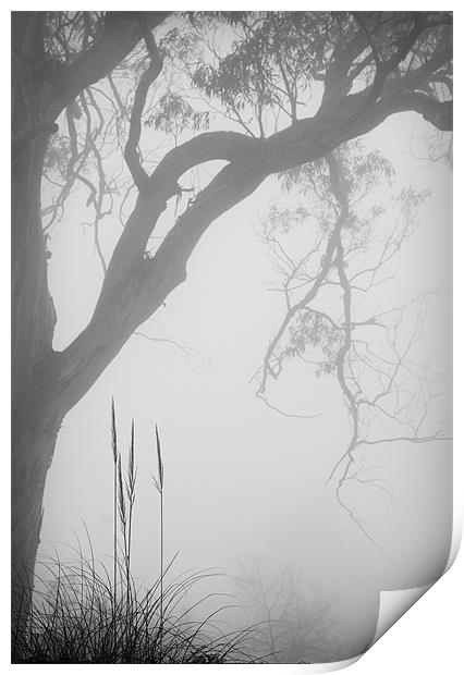 Hillside Mist Print by Nigel Gooding