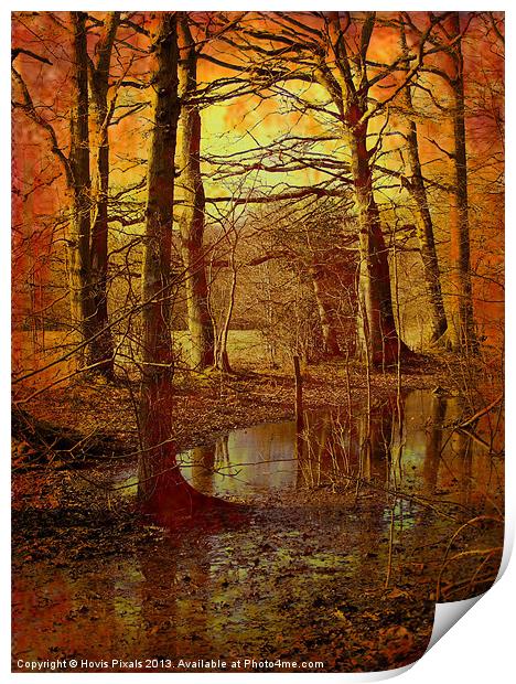 Autumn Texture Print by Dave Burden