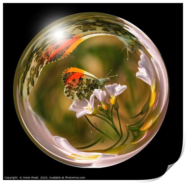 Through the Looking Glass Print by Dave Burden