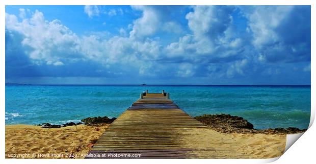 Cozumel Beach Print by Dave Burden