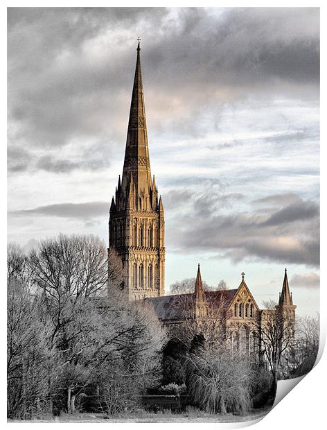 Salisbury Cathedral Print by
