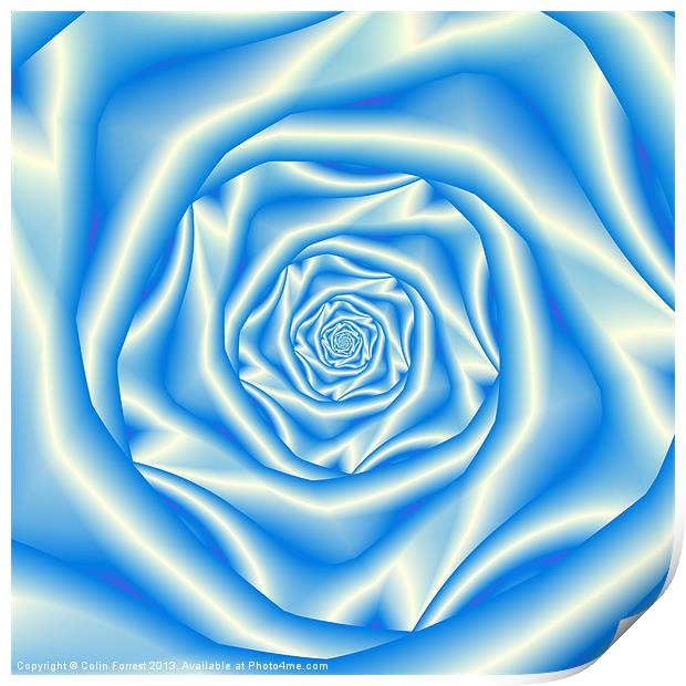 Blue Rose Spiral Print by Colin Forrest