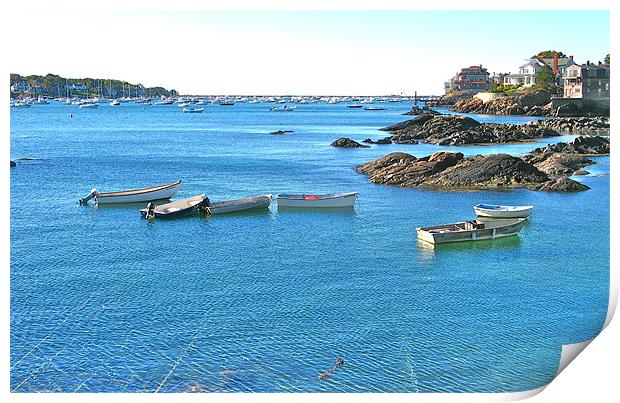 Marblehead Print by David Davies