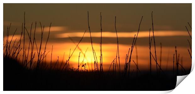 Sun set over lincolnshire  Print by Jon Fixter