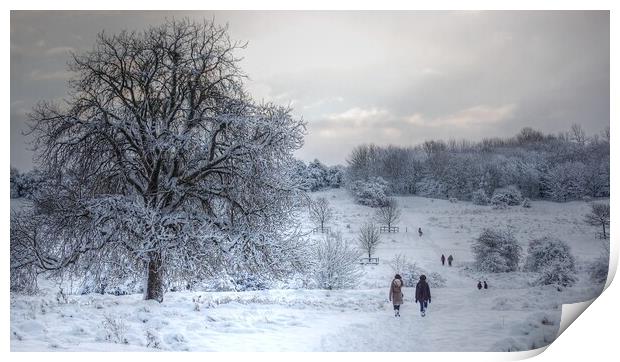 A winter's walk on the common  Print by Jon Fixter