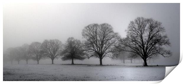 Trees in morning mist  Print by Jon Fixter