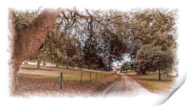 Driveway up to the house Print by Ian Johnston  LRPS