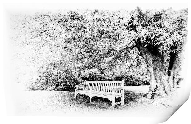 Rest under the tree mono Print by Ian Johnston  LRPS