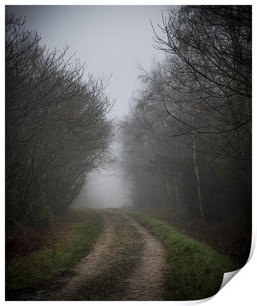 Foggy morning road Print by Ian Johnston  LRPS