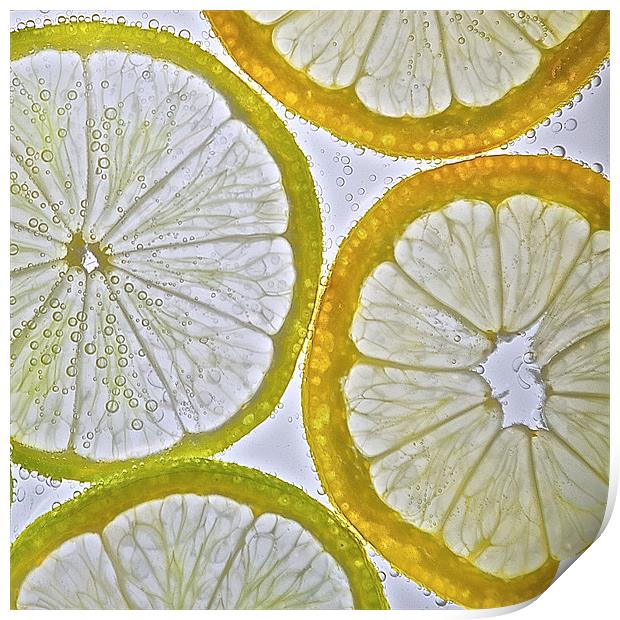 Lemon and Lime Print by Ian Johnston  LRPS