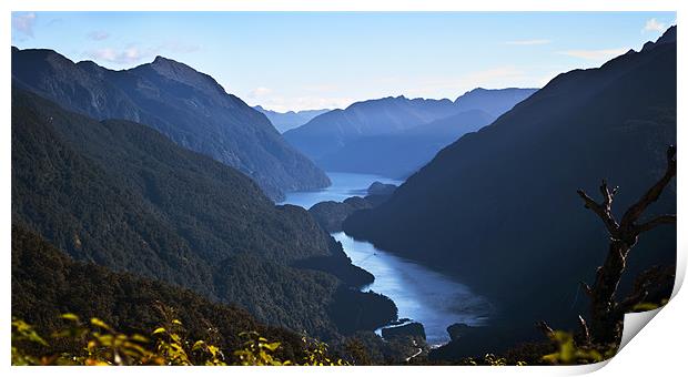 Doubtful Sound from Wilmott Pass Print by