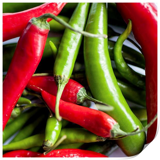 Chillies Print by Anne Whiteside