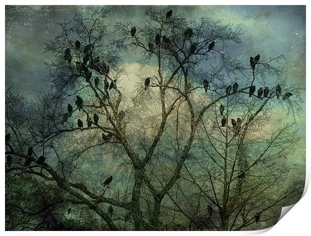 The Birds Print by Anne Christie