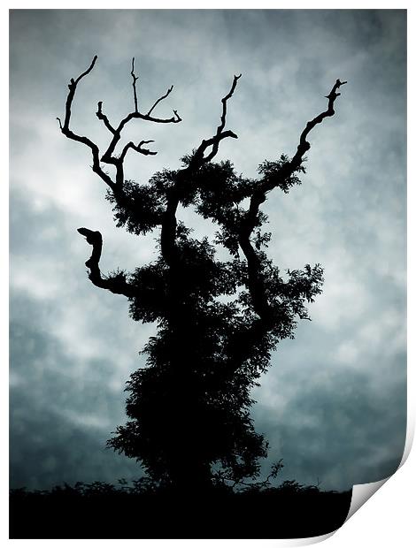Goth Tree Print by Mary Lane