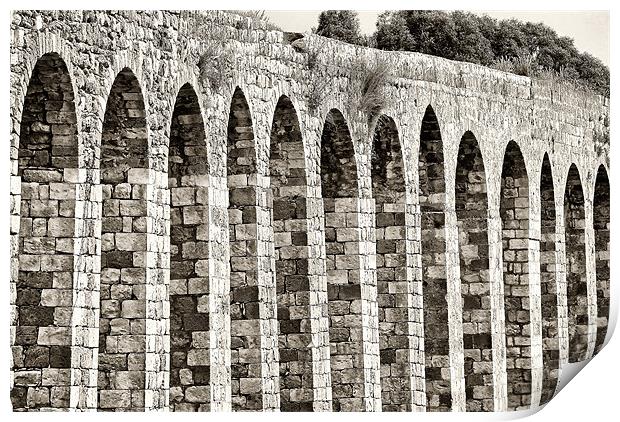 Roman Aqueduct Print by Mary Lane