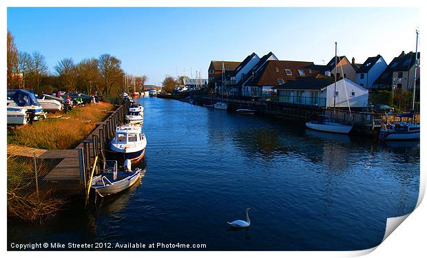 Lonely Swan 2 Print by Mike Streeter