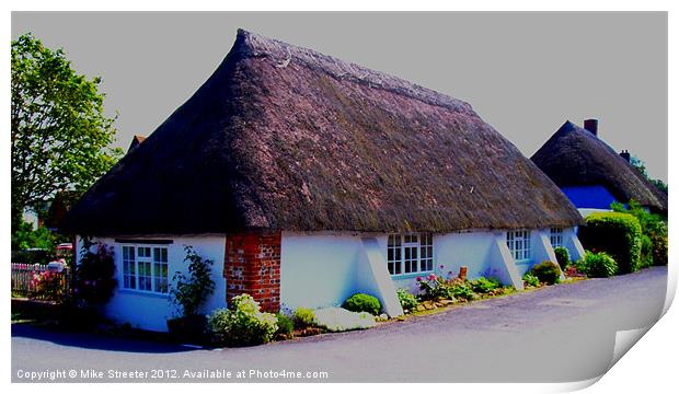 Dorset Thatch Print by Mike Streeter
