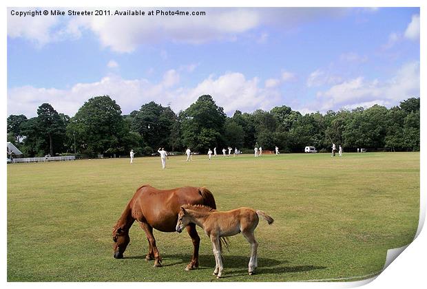 The Village Green Print by Mike Streeter