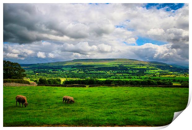  Green Green Grass Of Home Yorkshire. Print by Marie Castagnoli