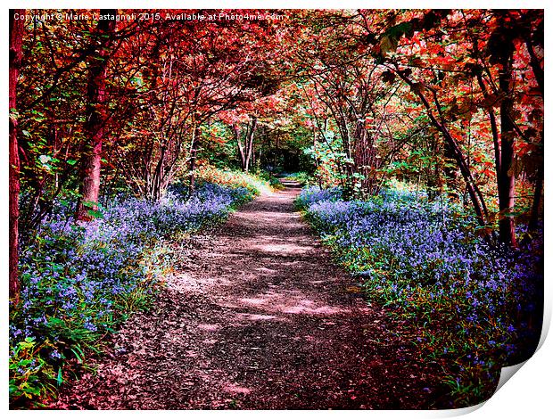  Blue bell Pathway Print by Marie Castagnoli