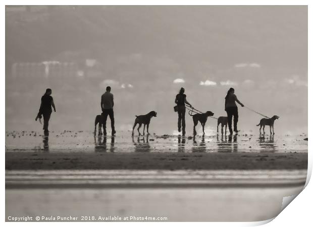 five dogs Print by Paula Puncher
