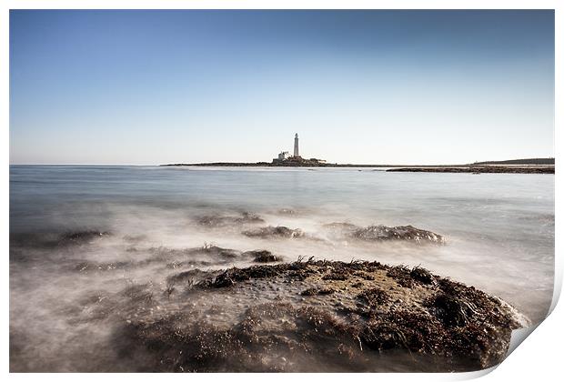 St Marys Lighthouse Print by Tom Hibberd