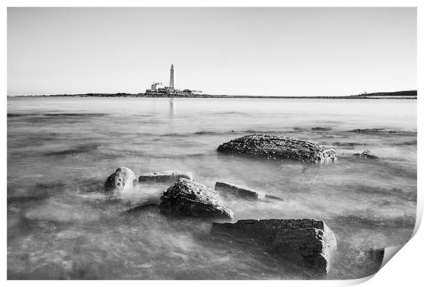 St Marys Lighthouse Print by Tom Hibberd