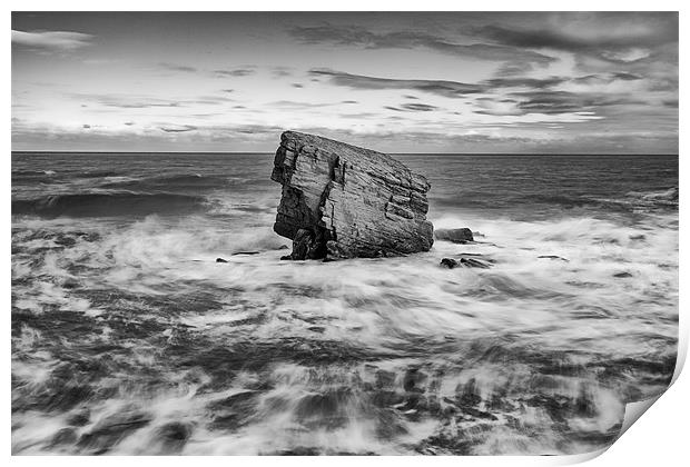 Charlies Garden, Collywell Bay Print by Tom Hibberd