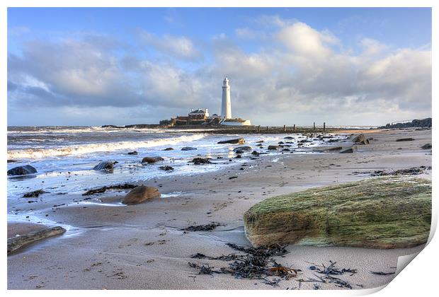 St Marys Lighthouse Print by Tom Hibberd