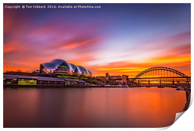 Sage and Tyne sunset Print by Tom Hibberd