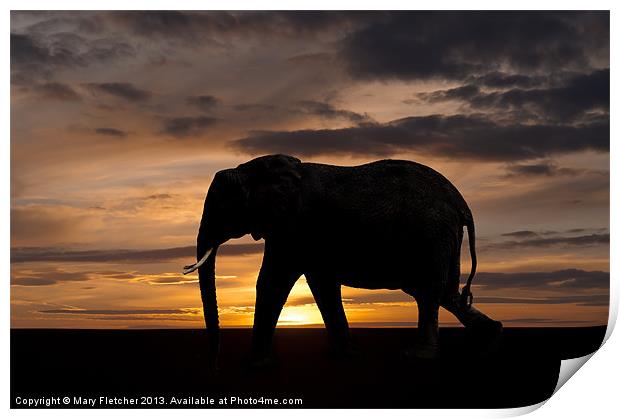 Elephant Silhouette Print by Mary Fletcher