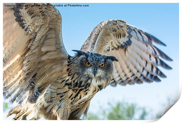  Eastern Siberian Eagle Owl Print by Mary Fletcher