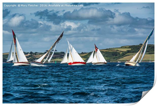 Falmouth Working Boats Race Print by Mary Fletcher